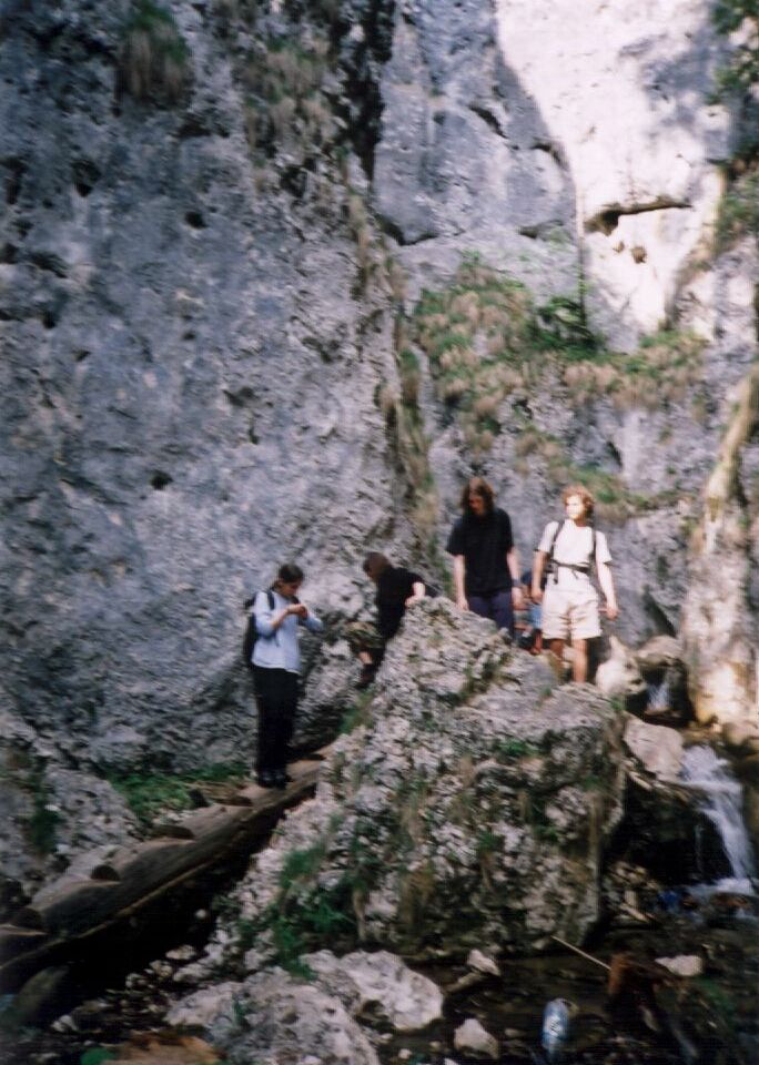 Image 6 of 7  -  125 kB